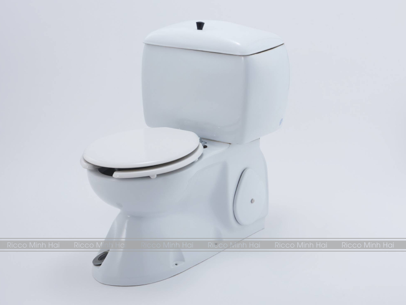 bồn cầu thông minh inax đầu tiên tại nhật bản