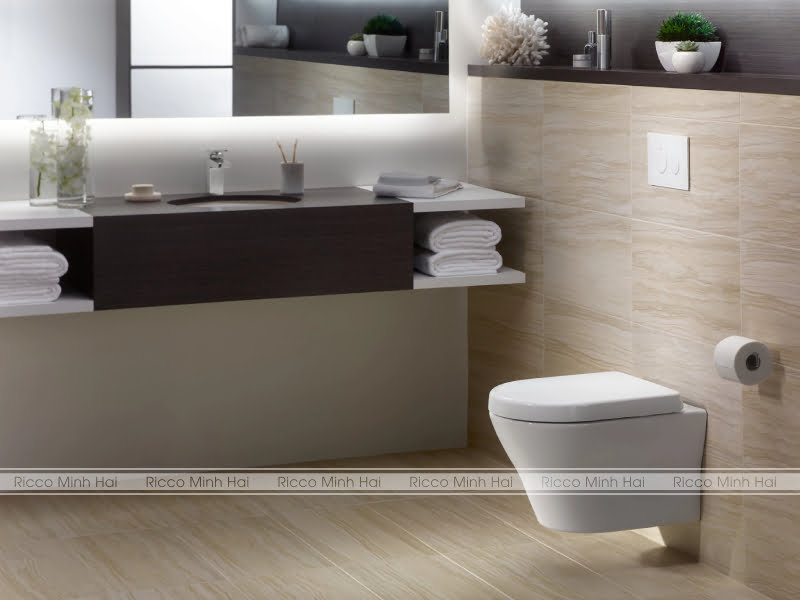 minh hải plaza bán bồn cầu treo tường inax tại hải dương